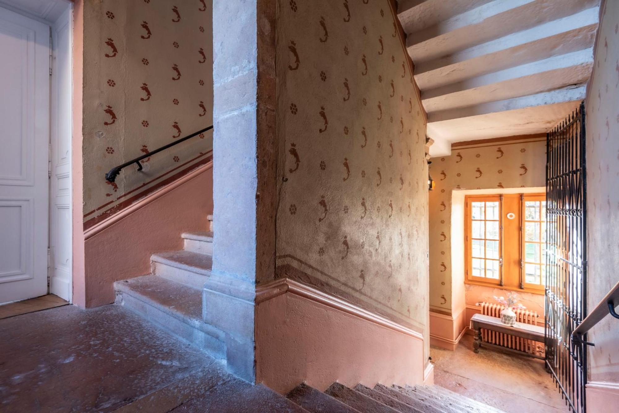 Chateau De Salornay Hurigny Buitenkant foto